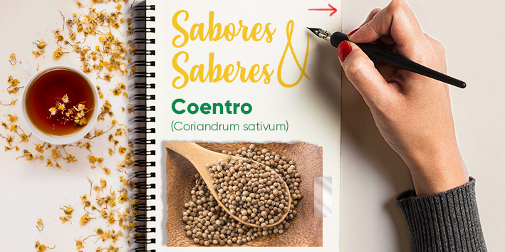 Sabores e saberes - Coentro 1